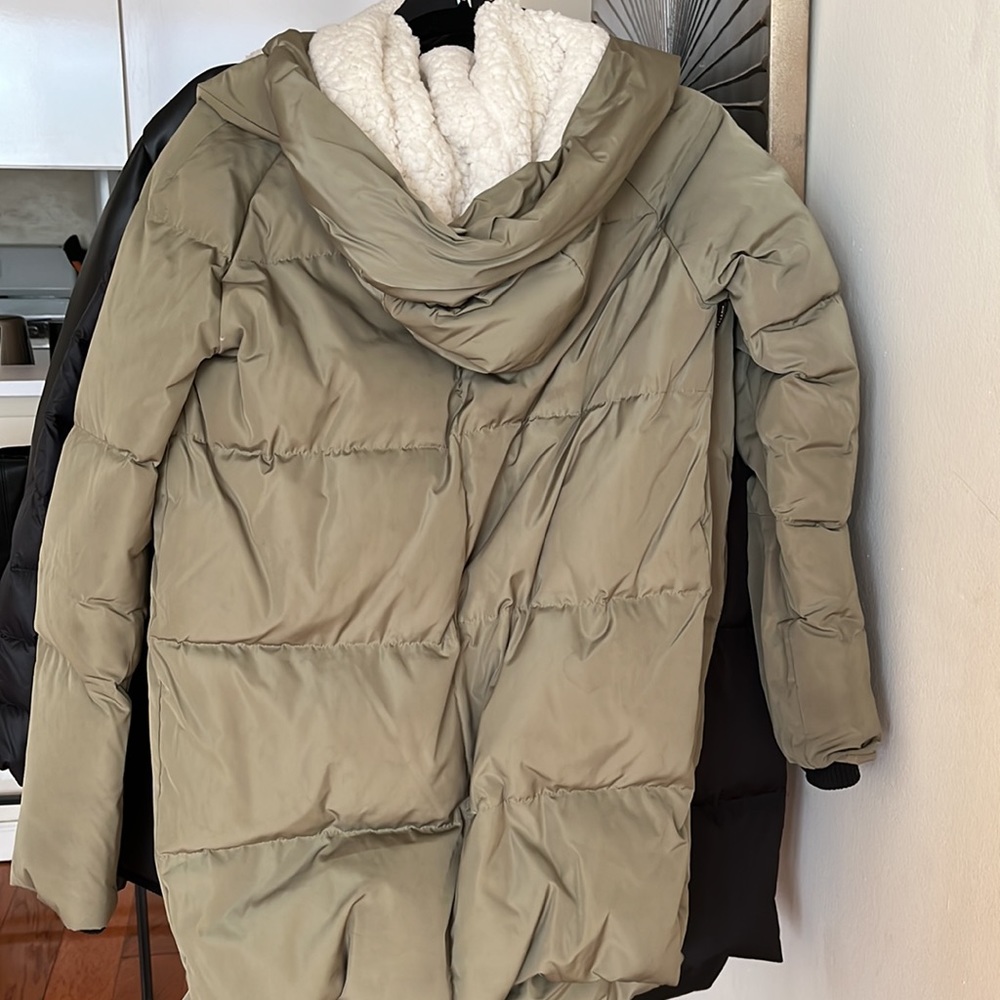 Green Puffer - image 2